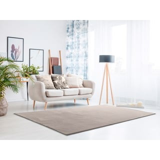 Šviesiai pilkas kilimas 120x170 cm Loft - Universal
