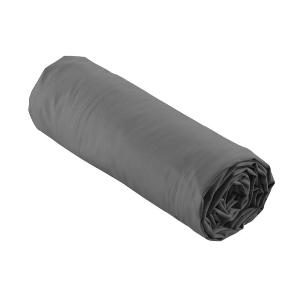 Paklodė iš medvilninio perkelio antracito spalvos su guma 140x190 cm Percaline – douceur d'intérieur-image-4