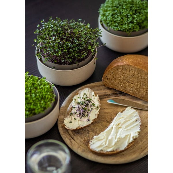 Iš plastiko daiginimo konteineris Microgreens + Regrow – Plastia-image-3
