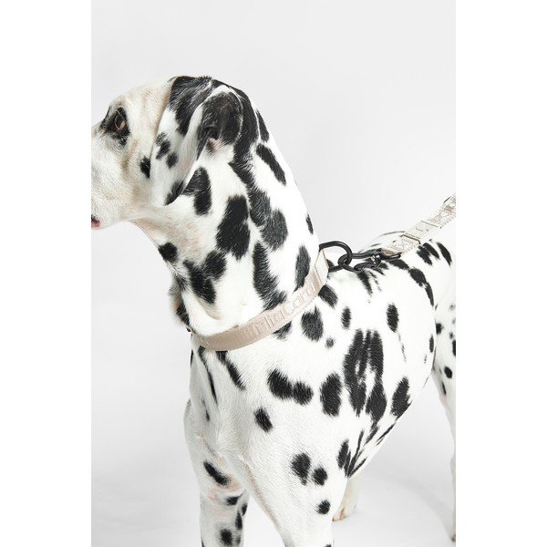 Antkaklis smėlio spalvos L/XL ilgis 40 cm Modena Greige L/XL – MiaCara-image-1