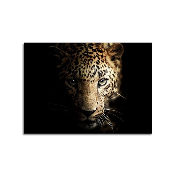 Paveikslas ant stiklo Styler Glas Animals Leopard, 70 x 100 cm