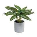 Dirbtinis augalas (aukštis 21 cm) Syngonium – Ixia