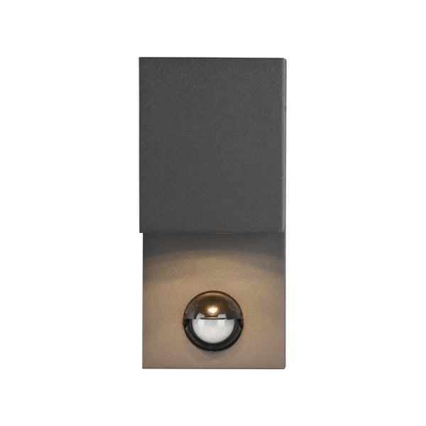 Sieninis lauko šviestuvas (aukštis 15 cm) Roya - Trio-image-3