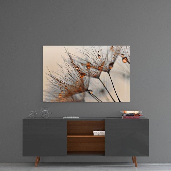 Paveikslas ant stiklo Insigne Cinamon Dandelion, 72 x 46 cm-image-1