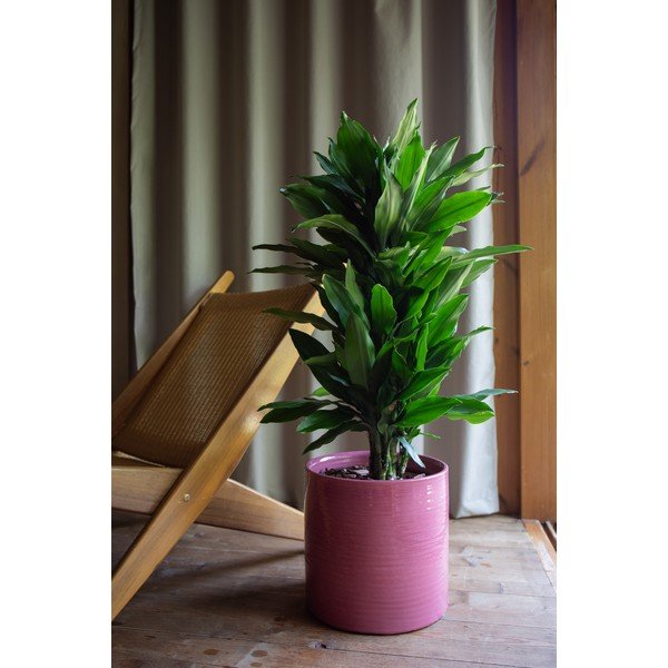 Iš keramikos rankų darbo gėlių vazono dangtelis ø 25 cm Fortuna – Artevasi-image-1