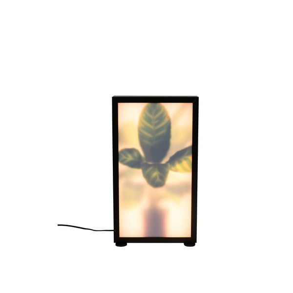 Juoda grindų lempa Grow - Zuiver