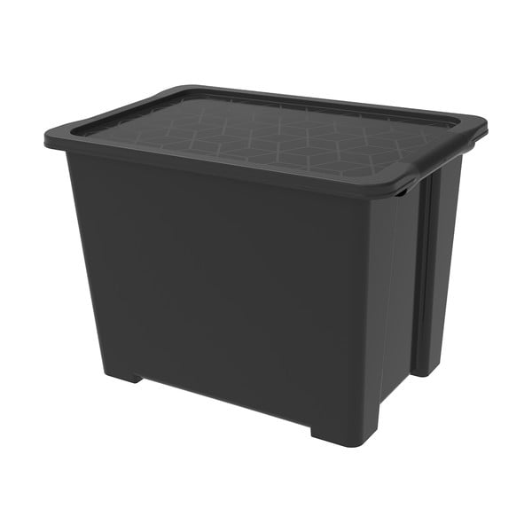 Blizgios juodos spalvos plastikinė laikymo dėžė su dangčiu Evo Easy - Rotho