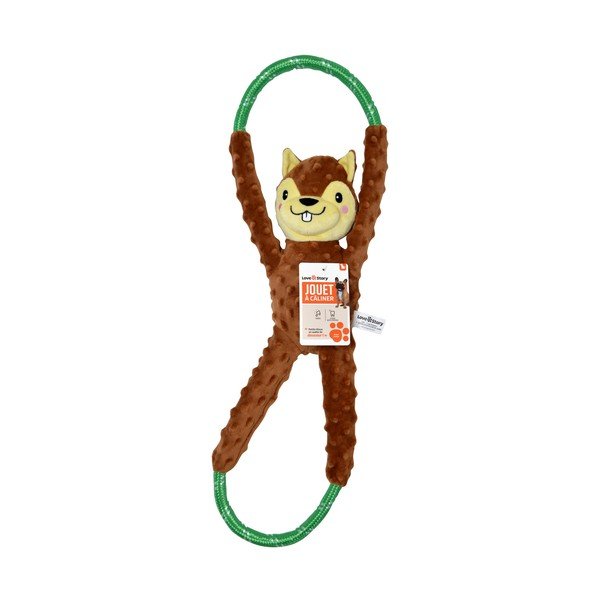 Žaislas šuniui Squirrel – Love Story-image-1