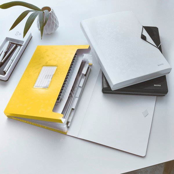 Iš plastiko biuro organizatorius WOW – Leitz-image-1