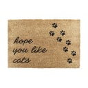 Iš kokoso pluošto grindų kilimėlis 40x60 cm Hope You Like Cats – Artsy Doormats