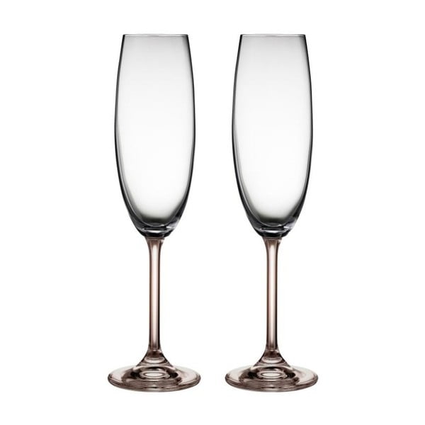2 šampano taurių rinkinys iš pilko krištolo stiklo "Bitz Fluidum", 220 ml