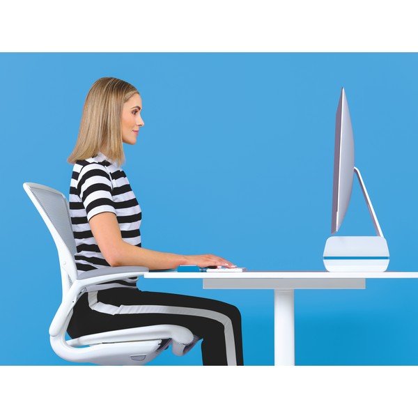 Baltos ir mėlynos spalvos monitoriaus stovas Leitz-image-4