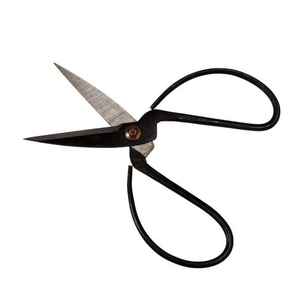 Sodo žirklės Your Garden – Rex London-image-2