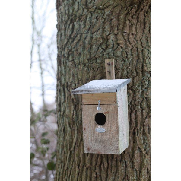 Iš medžio varnėnų inkilas – Esschert Design-image-3