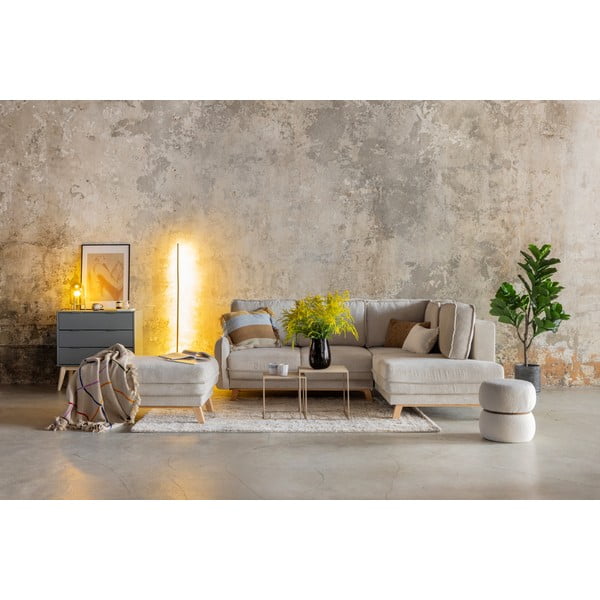 Kreminės spalvos kilimas 80x150 cm Routa – Universal-image-4