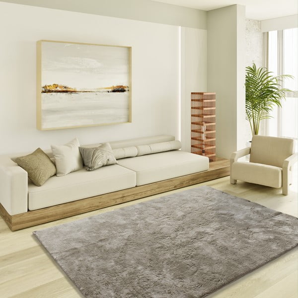 Pilkai smėlinės spalvos kilimas 160x230 cm Roma – Universal-image-1