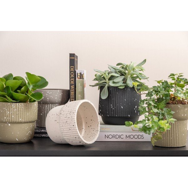 Šviesiai smėlio spalvos betoninis puodas ø 14 cm Speckles - PT LIVING-image-1