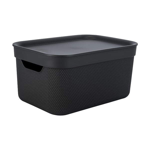 Plastikinė laikymo dėžė su dangčiu Deco - Rotho-image-2