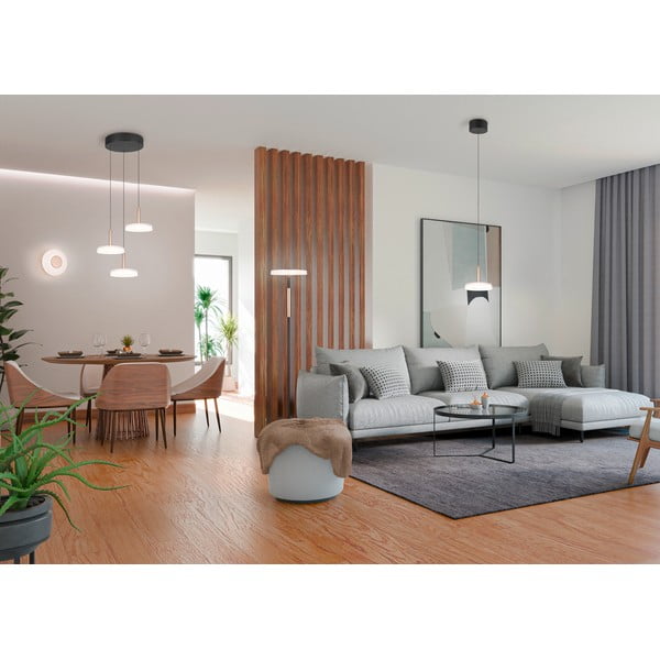 Smėlio spalvos sieninė lempa LED su pritemdymo funkcija ø 22 cm Celeste – Trio-image-2