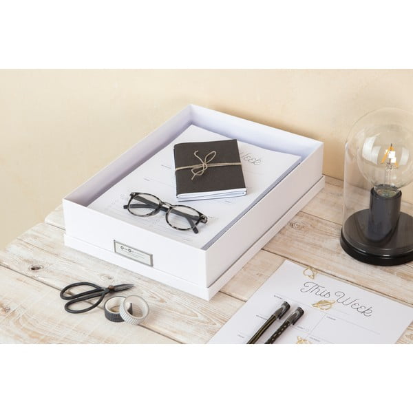 Balta dokumentų saugojimo dėžutė su vardine etikete Bigso, A4 dydžio-image-2