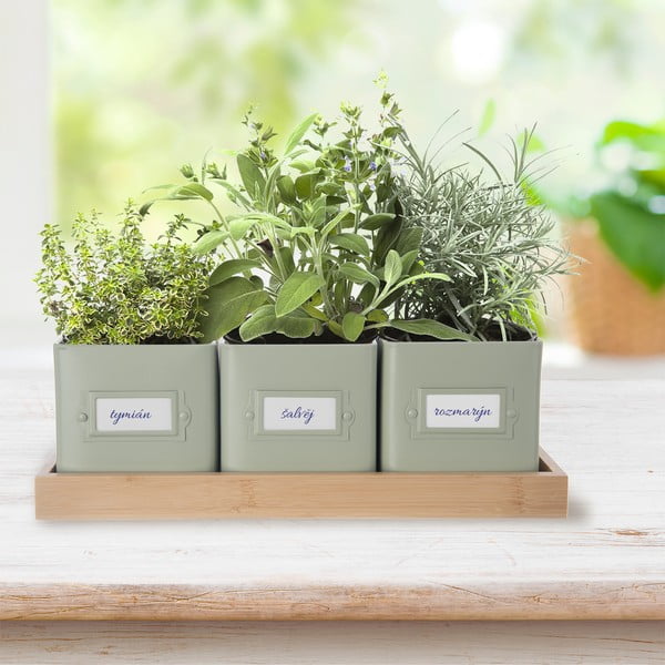 Iš metalo vazonai 3 vnt. žolelėms Greenish – Orion-image-1