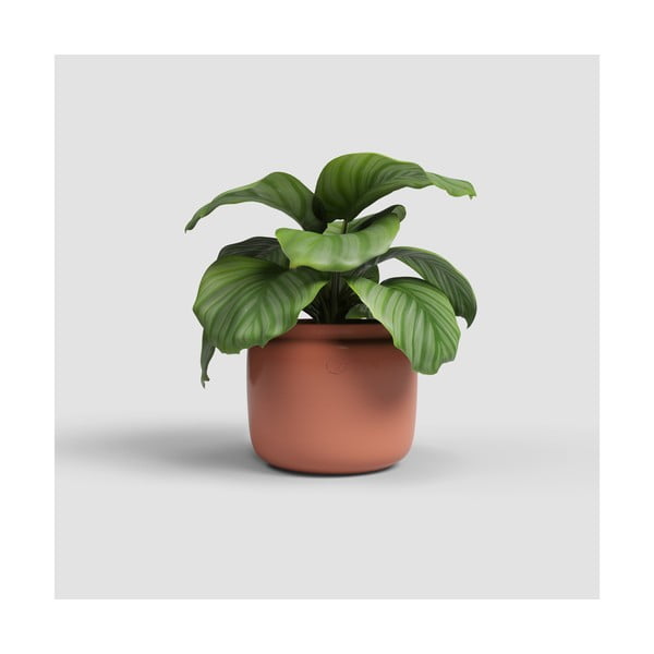 Rankų darbo vazonas iš keramikos ø 26 cm Astrea – Artevasi-image-1