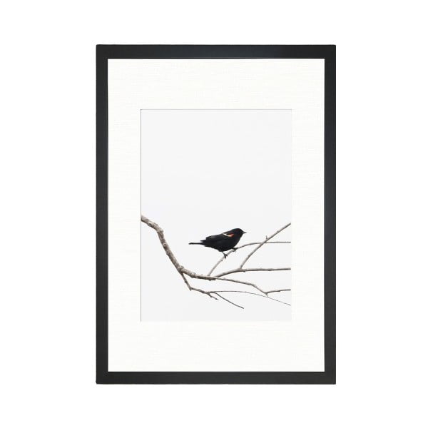Plakatas 24x29 cm Bird on the Branch - Tablo Center