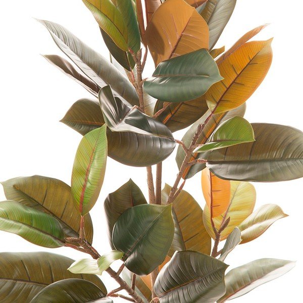 Dirbtinis fikusas (aukštis 90 cm) Ficus – Ixia-image-1