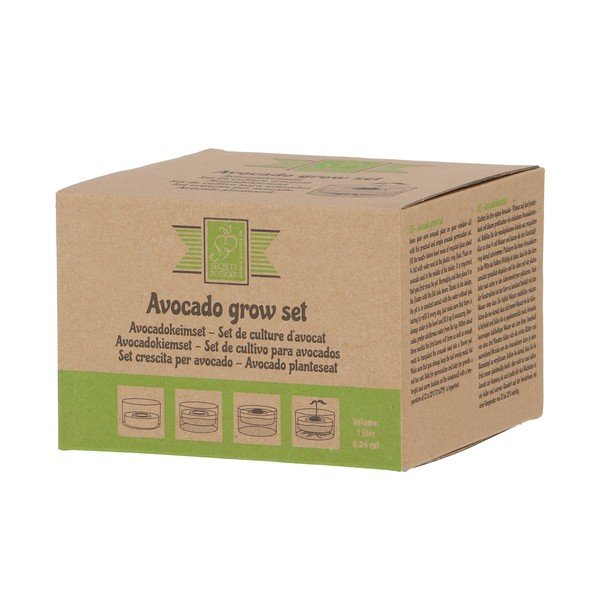 Iš stiklo daiginimo konteineris ø 14 cm Avocado – Esschert Design-image-4