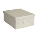 Daiktadėžė su dangčiu Katrin – Bigso Box of Sweden