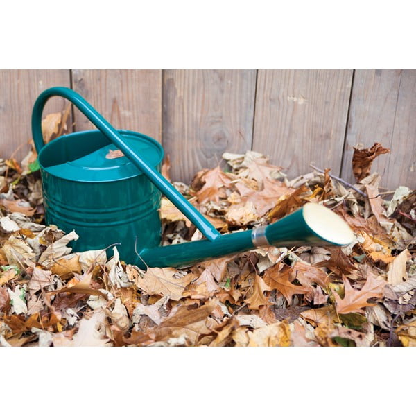 Skardinis laistytuvas Esschert Design Fresh, 7,5 l-image-1