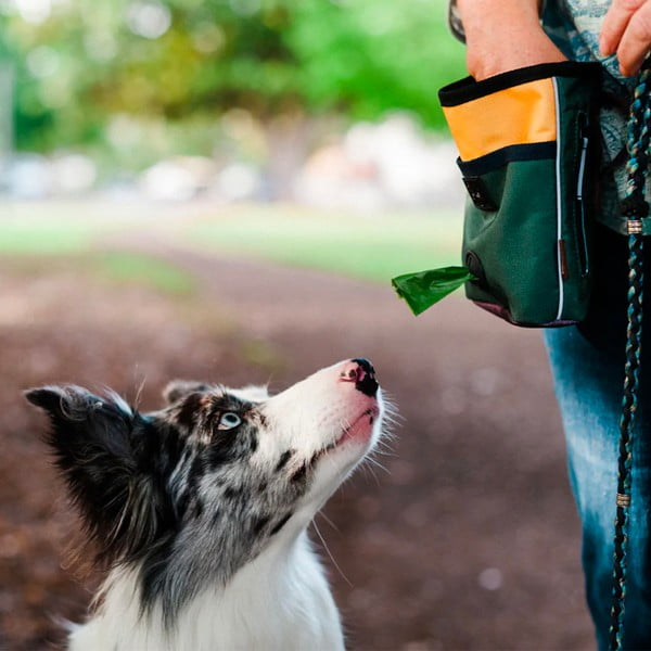 Krepšys skanėstams Deluxe Moss - P.L.A.Y.-image-1