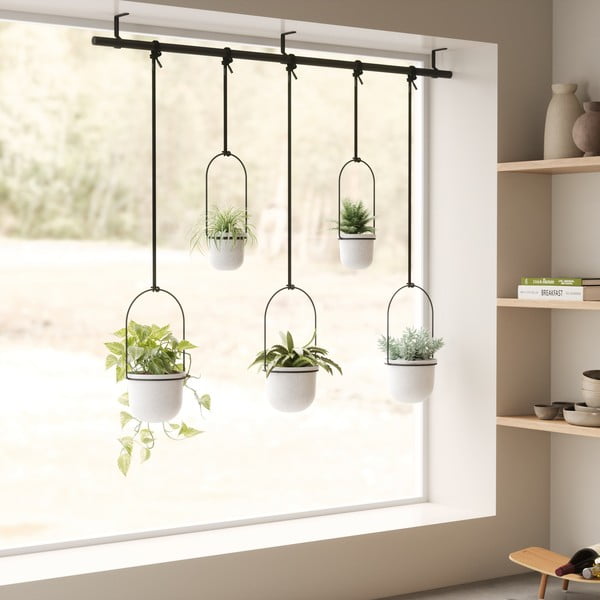 Iš plastiko gėlių vazonų dangteliai 5 vnt. žolelėms/pakabinami ir sieniniai ø 7,5 cm Triflora – Umbra-image-3