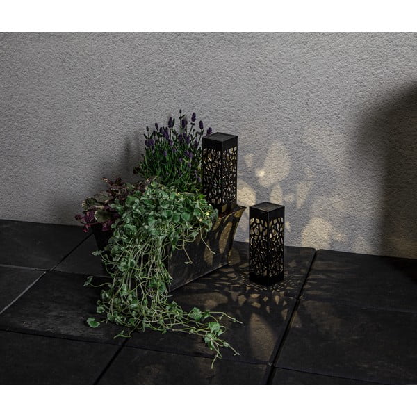 2 lauko saulės energija veikiančių LED šviestuvų rinkinys Star Trading Izola, aukštis 18 cm-image-4