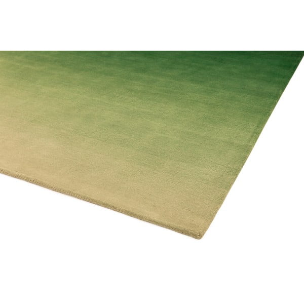 Žalios ir pilkos spalvos kilimas Asiatic Carpets Ombre, 160 x 230 cm-image-4