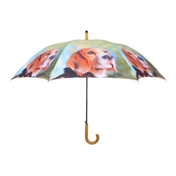 Šviesiai žalias skėtis su šunimis Esschert dizainas