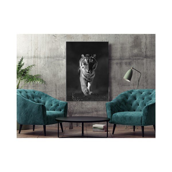 Vaizdas Styler Glasspik Animals Tiger, 70 x 100 cm-image-1
