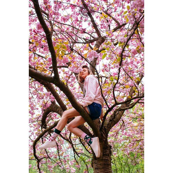 Many Mornings Cherry Blossom kojinės, 35-38 dydis-image-1
