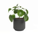 Vazonas iš keramikos ø 15 cm Luna – Artevasi