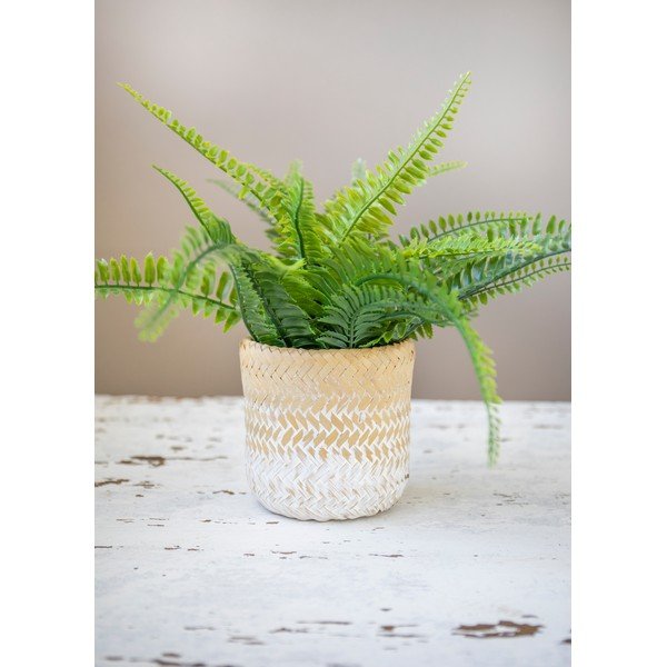 Jūržolės vazonas Kitchen Craft Ombré-image-4