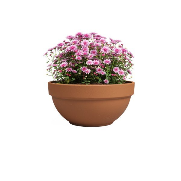 Vazonas iš terakotos ø 20 cm Amalia Campana – Artevasi-image-2