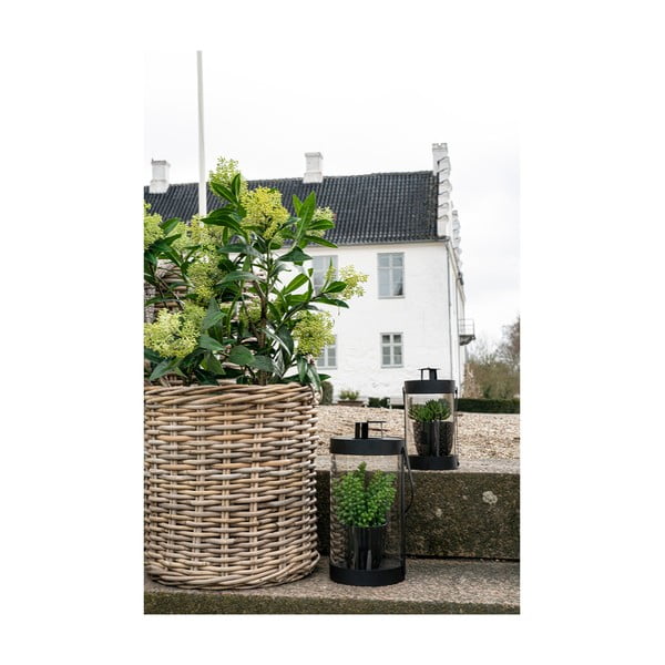 Dirbtinis augalas Skimmia - House Nordic-image-4