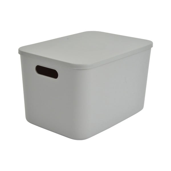 Iš plastiko daiktadėžė pilkos spalvos su dangčiu 35,5x25,5x23 cm – Homéa