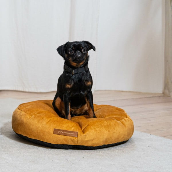 Čiužinys geltonos spalvos šuniui ø 50 cm Coco S – Rexproduct-image-1