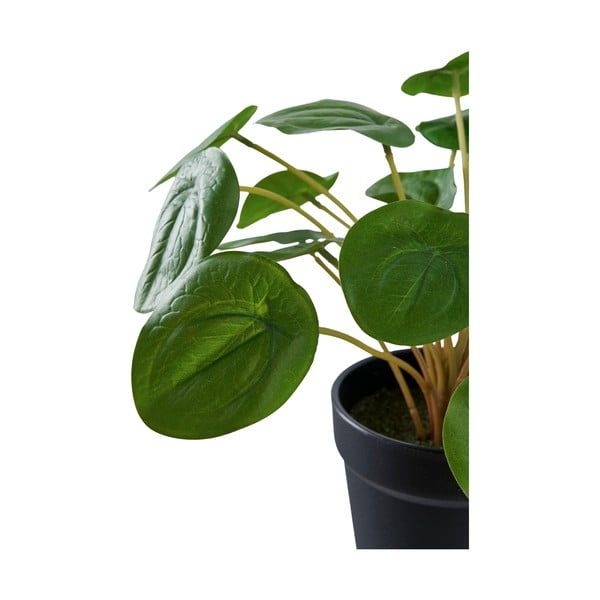Dirbtinis augalas (aukštis 28 cm) Pelia – House Nordic-image-4