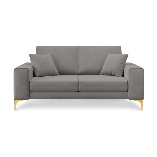 "Cosmopolitan Design Basel" pilka dvivietė sofa
