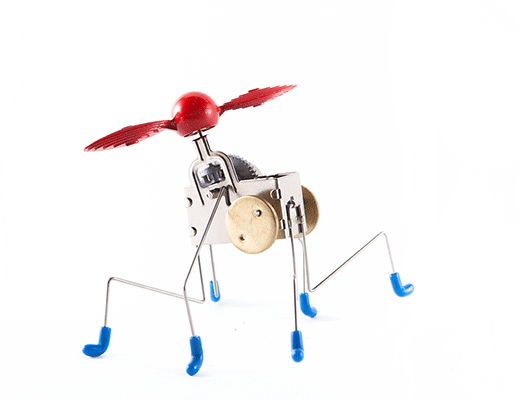 "Kikkerland Pintacuda" judantis žaislas-image-1