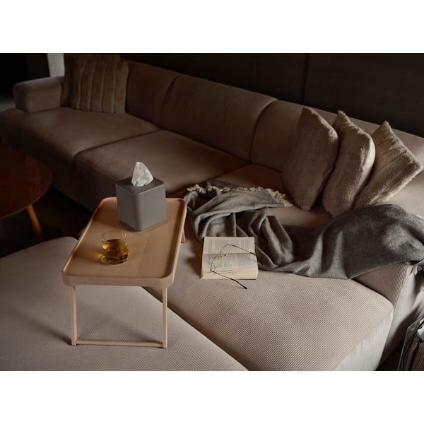 Iš plastiko nosinių dėžutė Ume – Zone-image-1