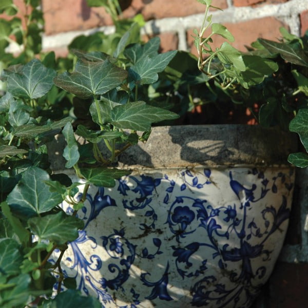 Pakabinamas ir sieninis vazonas iš keramikos – Esschert Design-image-2