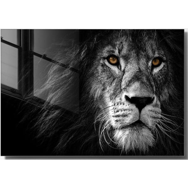 Paveikslas ant stiklo 70x50 cm Lion - Wallity